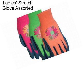 Ladies\' Stretch Glove Assorted