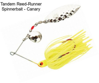 Tandem Reed-Runner Spinnerbait - Canary