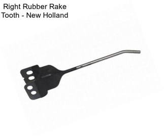 Right Rubber Rake Tooth - New Holland