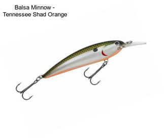 Balsa Minnow - Tennessee Shad Orange