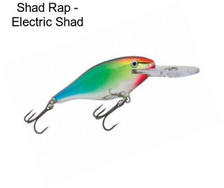 Shad Rap - Electric Shad