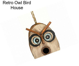 Retro Owl Bird House