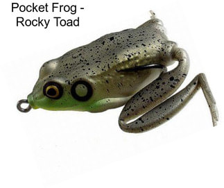 Pocket Frog - Rocky Toad