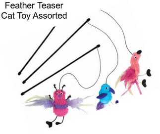 Feather Teaser Cat Toy Assorted