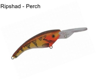 Ripshad - Perch