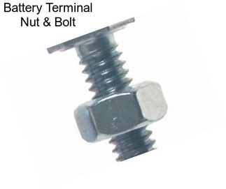 Battery Terminal Nut & Bolt