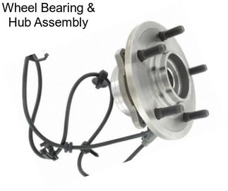 Wheel Bearing & Hub Assembly