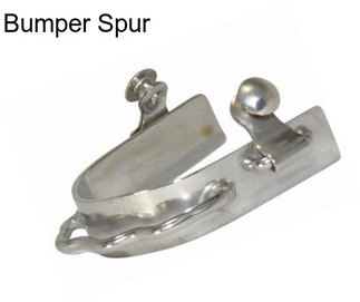 Bumper Spur