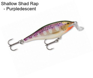 Shallow Shad Rap - Purpledescent