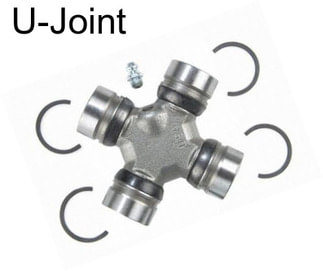 U-Joint