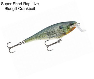 Super Shad Rap Live Bluegill Crankbait