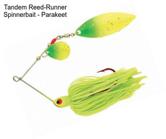 Tandem Reed-Runner Spinnerbait - Parakeet