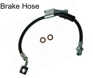 Brake Hose