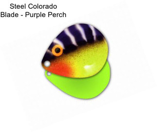 Steel Colorado Blade - Purple Perch
