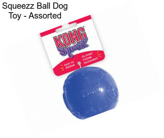 Squeezz Ball Dog Toy - Assorted