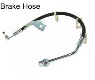 Brake Hose