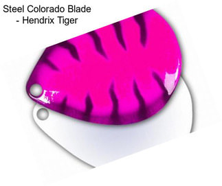 Steel Colorado Blade - Hendrix Tiger