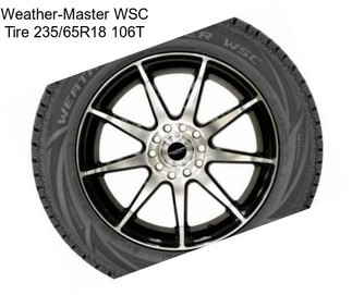 Weather-Master WSC Tire 235/65R18 106T