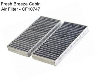 Fresh Breeze Cabin Air Filter - CF10747