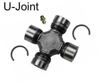 U-Joint