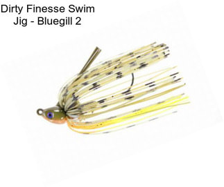 Dirty Finesse Swim Jig - Bluegill 2