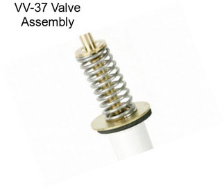 VV-37 Valve Assembly