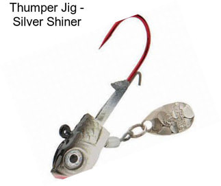 Thumper Jig - Silver Shiner