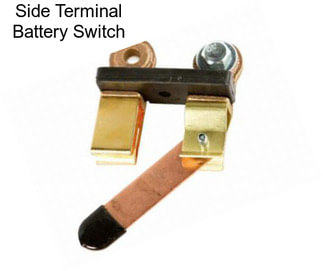 Side Terminal Battery Switch