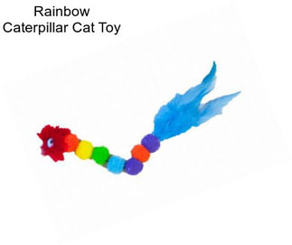 Rainbow Caterpillar Cat Toy