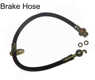 Brake Hose