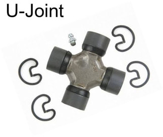 U-Joint