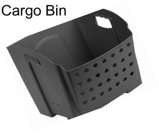 Cargo Bin