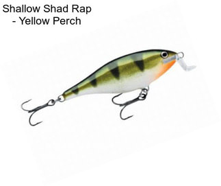 Shallow Shad Rap - Yellow Perch