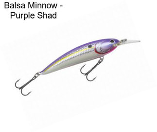 Balsa Minnow - Purple Shad
