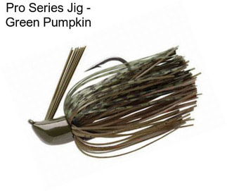 Pro Series Jig - Green Pumpkin