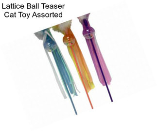 Lattice Ball Teaser Cat Toy Assorted