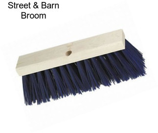 Street & Barn Broom