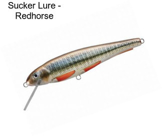 Sucker Lure - Redhorse