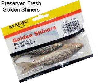 Preserved Fresh Golden Shiners