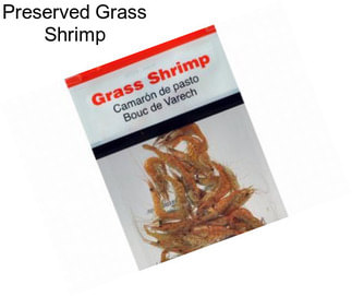 Preserved Grass Shrimp