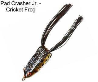 Pad Crasher Jr. - Cricket Frog