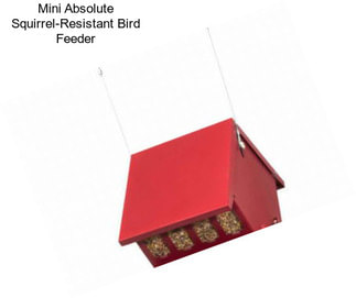 Mini Absolute Squirrel-Resistant Bird Feeder