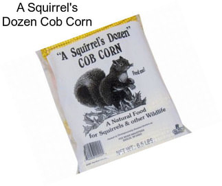 A Squirrel\'s Dozen Cob Corn