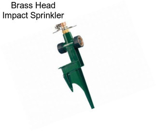 Brass Head Impact Sprinkler