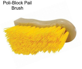 Poli-Block Pail Brush