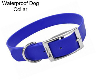 Waterproof Dog Collar