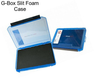 G-Box Slit Foam Case