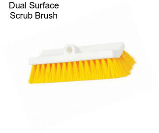 Dual Surface Scrub Brush