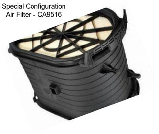 Special Configuration Air Filter - CA9516