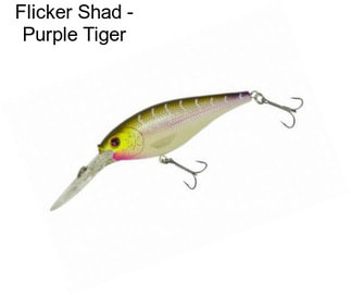 Flicker Shad - Purple Tiger